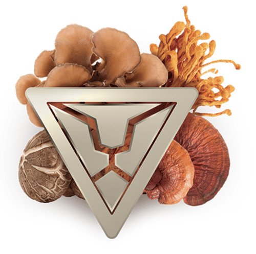 פורמולת פאוור (אבקה) | POWER FORMULA – תמונה 2