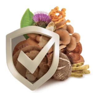 Alternative view of פורמולת שילד (אבקה) | SHIELD FORMULA