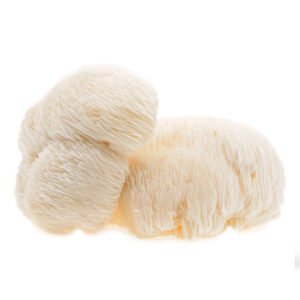 כמוסות פטריית רעמת האריה