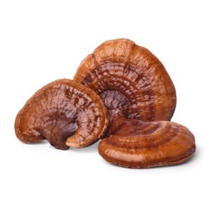 כמוסות פטריית ריישי